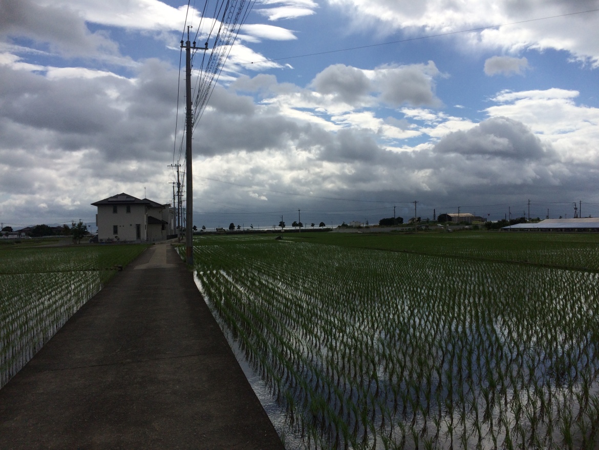 Rice paddies around Omura